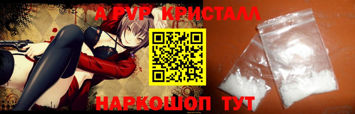 Alfa_PVP СК КРИС Дагестанские Огни